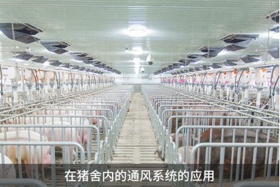 怎樣提高雞舍鴨舍豬舍養(yǎng)殖場的環(huán)境通風(fēng)效果？