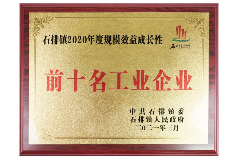 特姆優(yōu)傳動(dòng)—石排鎮(zhèn)2020年度規(guī)模效益成長(zhǎng)性前十名工業(yè)企業(yè)